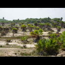 In einem trockenen Flussbett